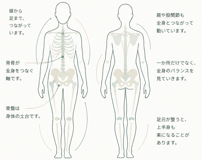 正面と背面の身体の線画。頭から足まで、背骨・骨盤・肩甲骨・股関節・足元が全身でつながっていることを示す図